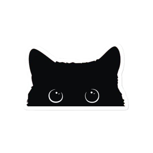 peeking cat